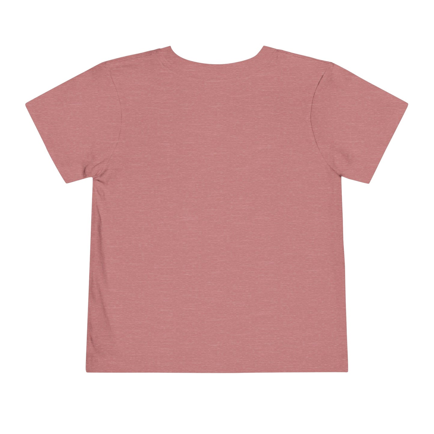 Autism Awareness Toddler Tee, My Brother is Au-Some Shirt