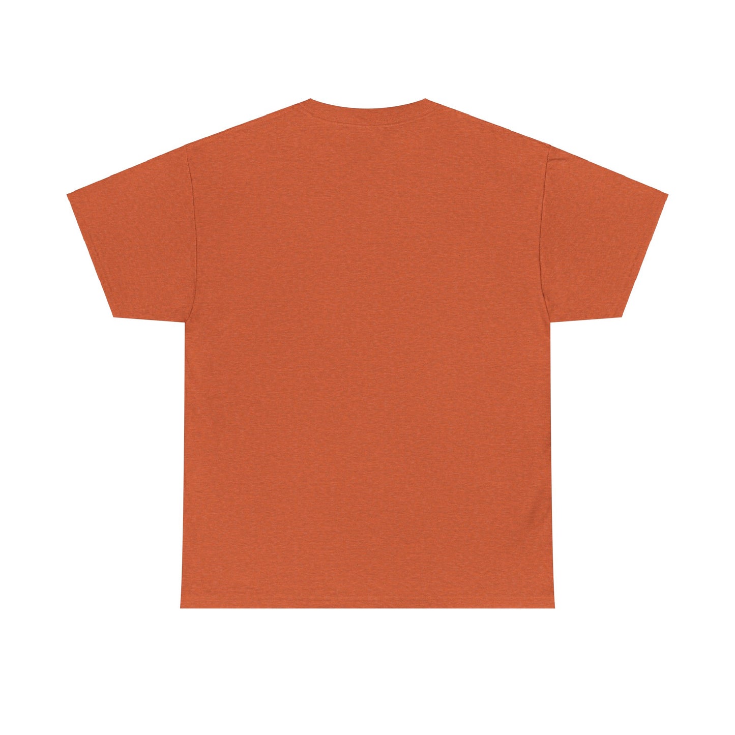 Religious Unisex Tee - He Has a Plan