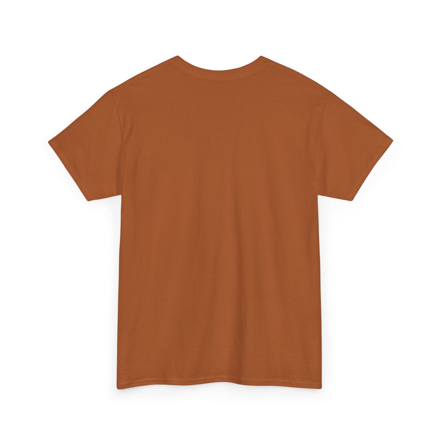 Religious Unisex Tee - He Has a Plan