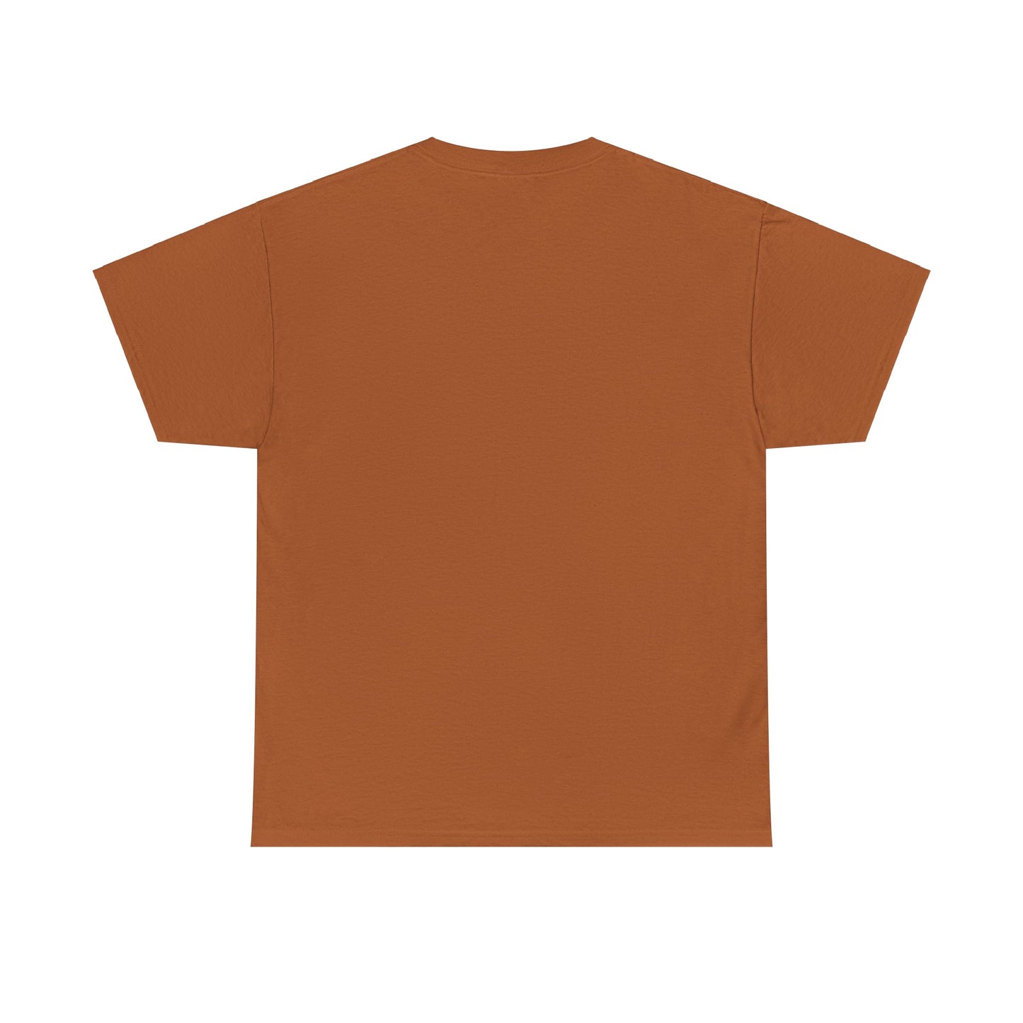 Religious Unisex Tee - He Has a Plan