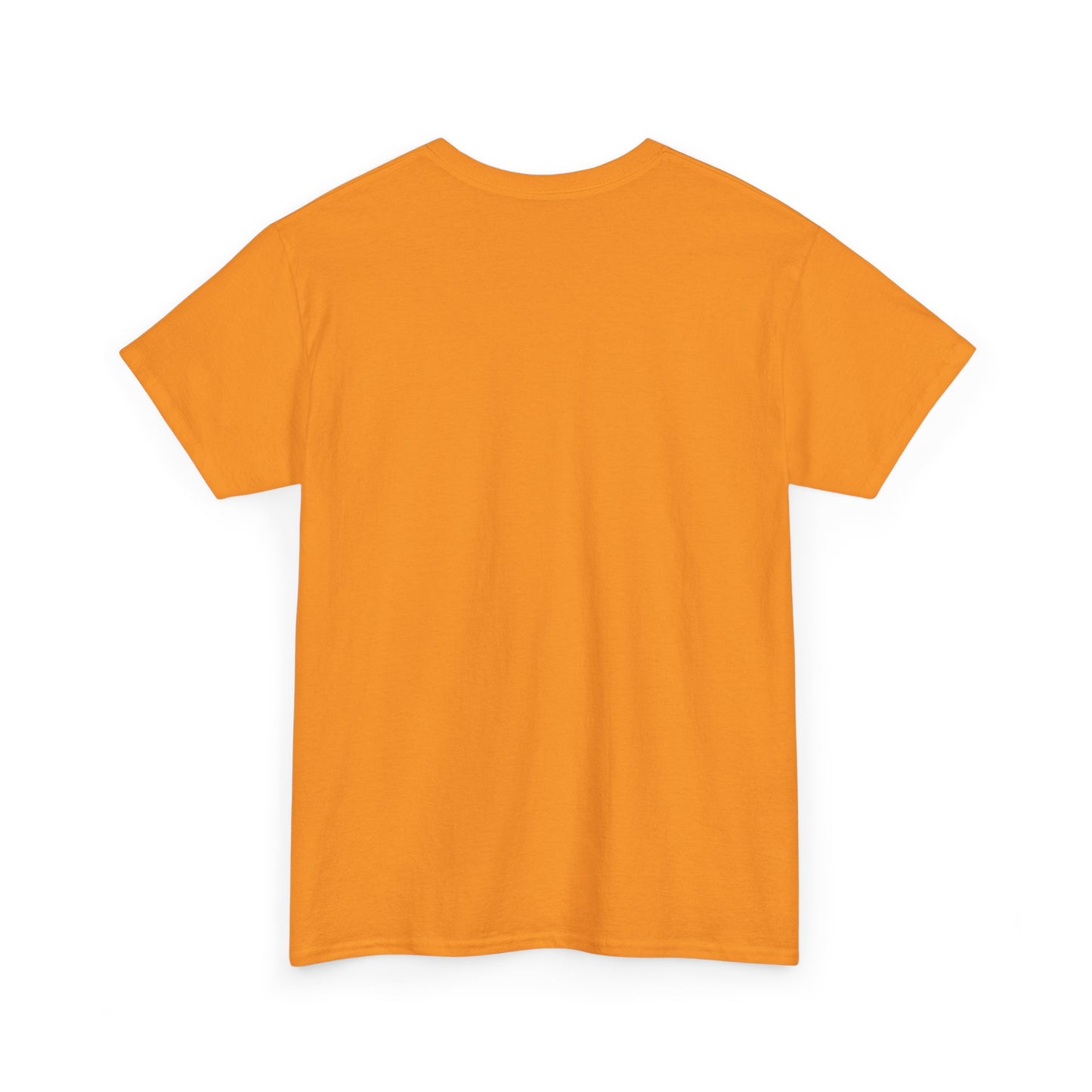 Religious Unisex Tee - He Has a Plan