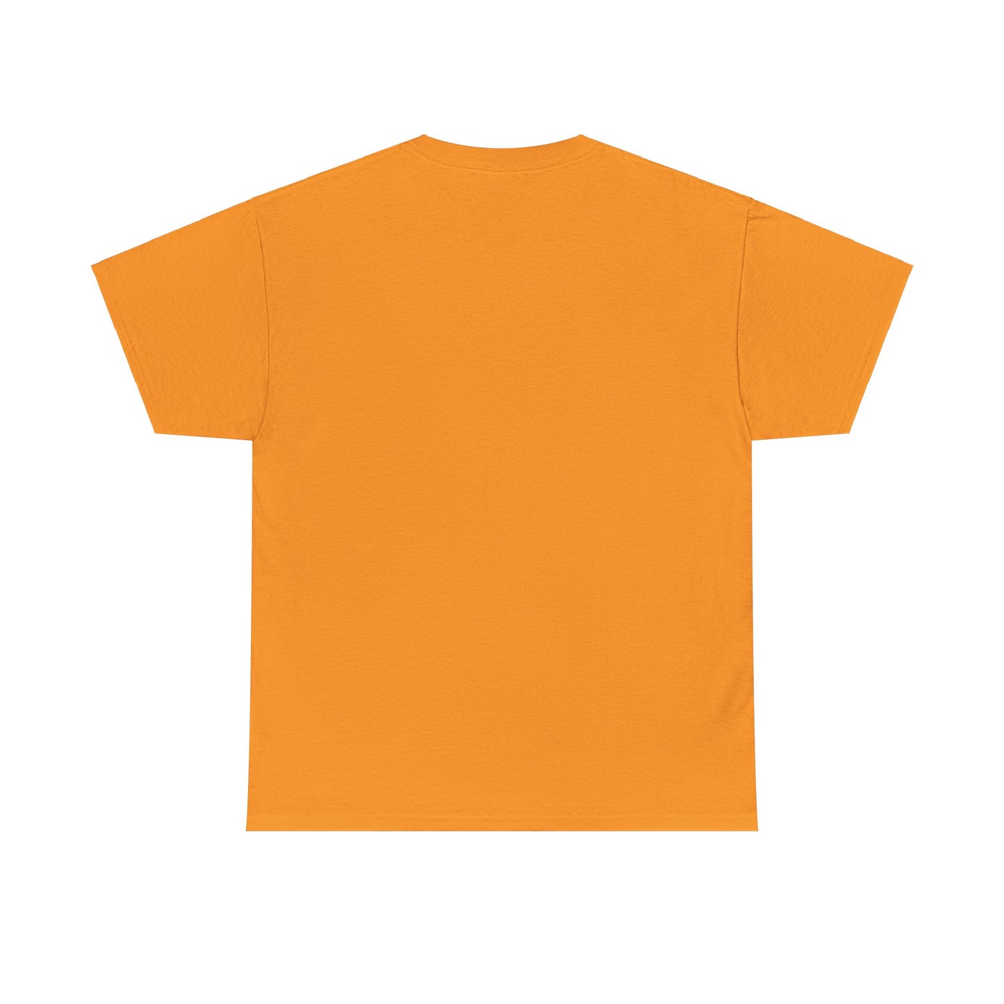 Religious Unisex Tee - He Has a Plan
