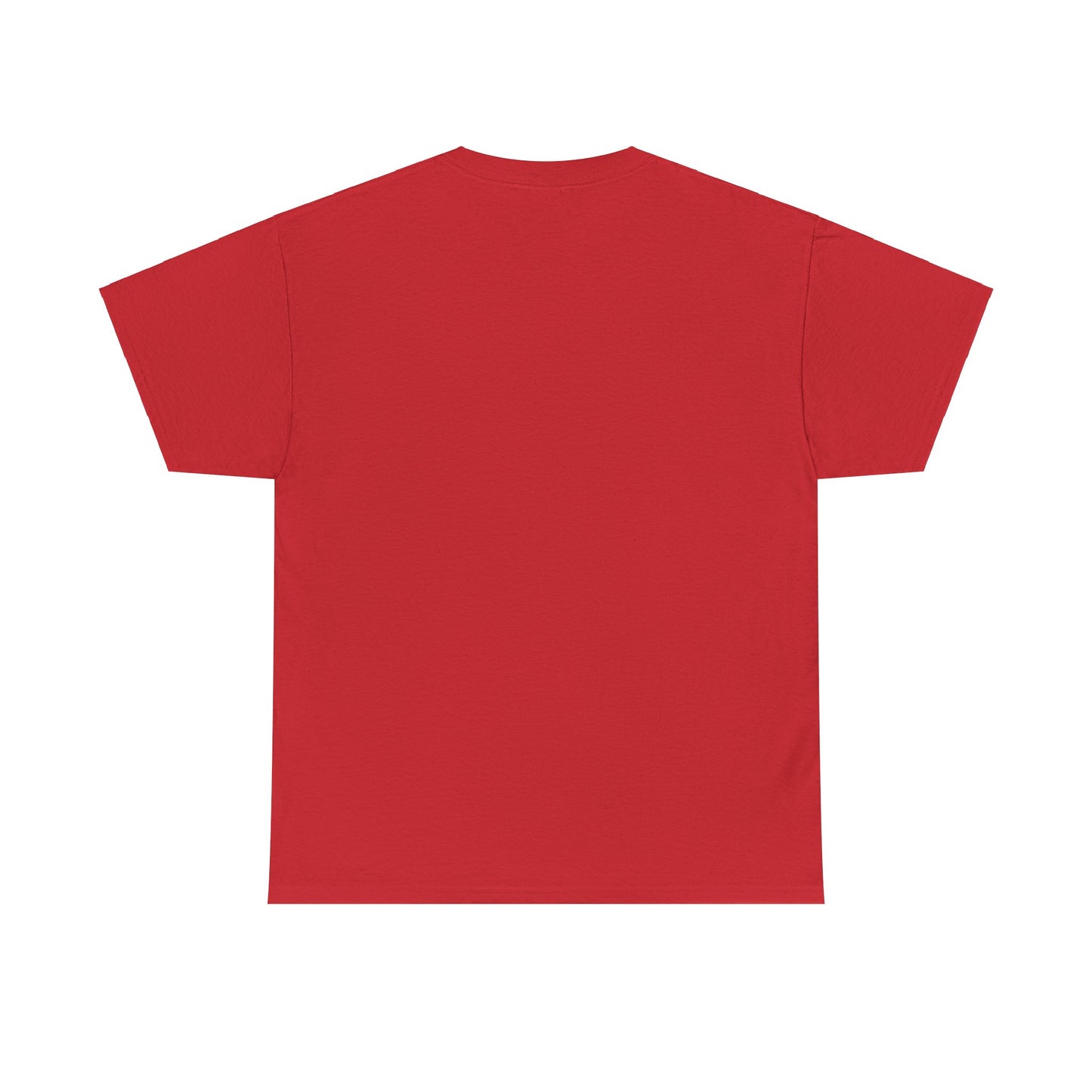 Religious Unisex Tee - He Has a Plan