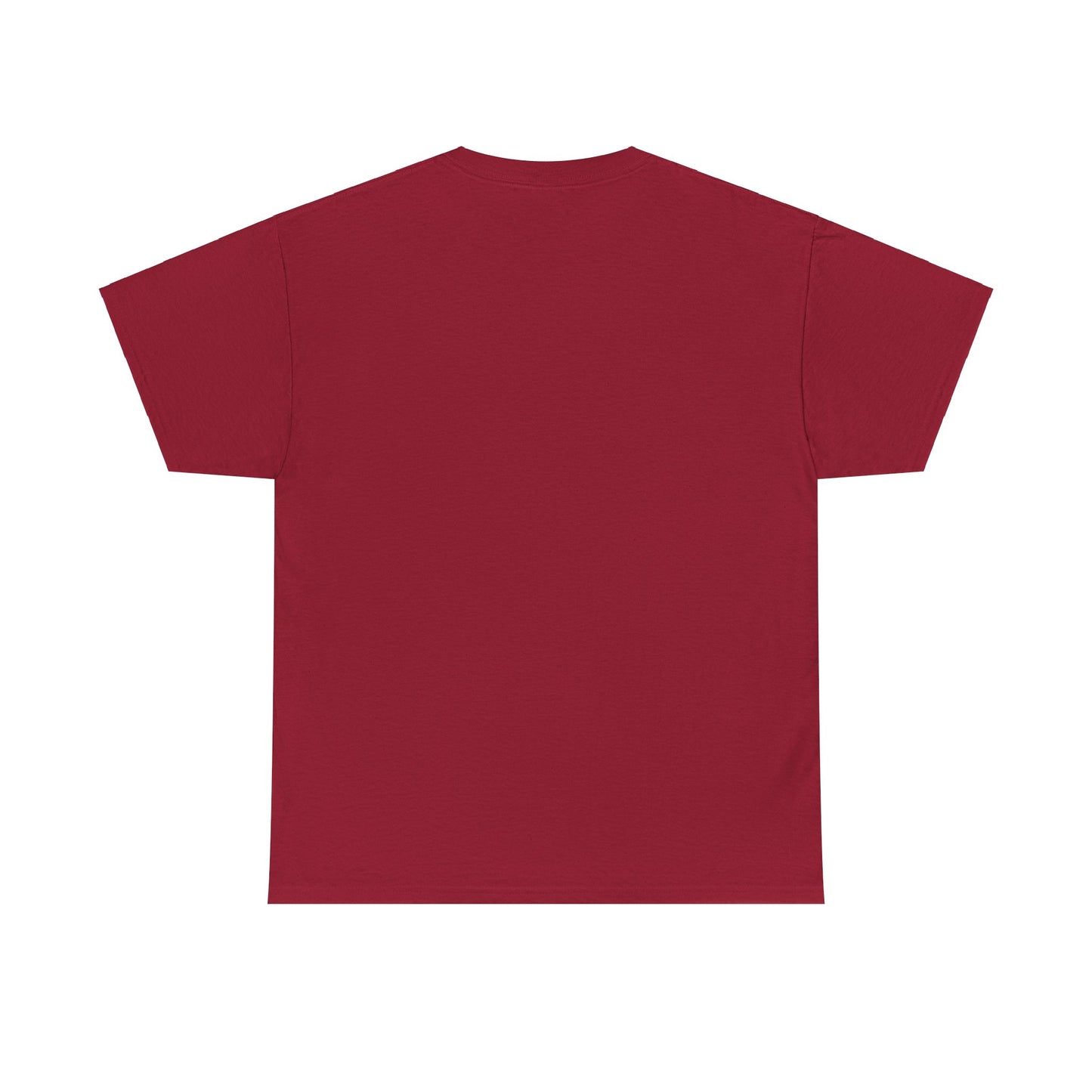 Religious Unisex Tee - He Has a Plan
